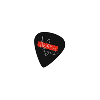 Bi-2 Guitar Picks - Set of 2 (Last Edition)
