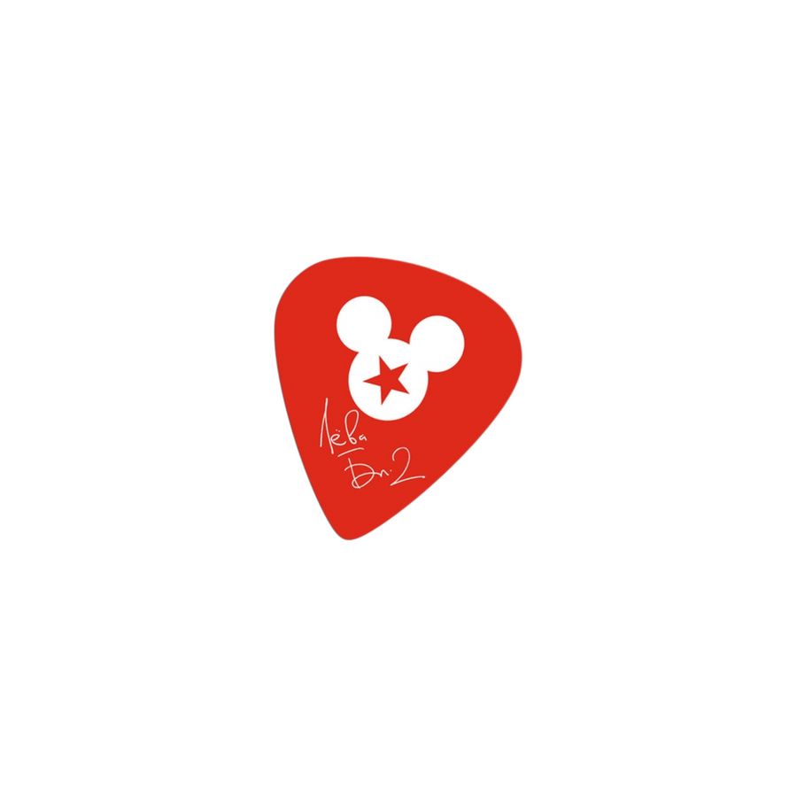 Bi-2 Guitar Picks - Set of 2 (Last Edition)