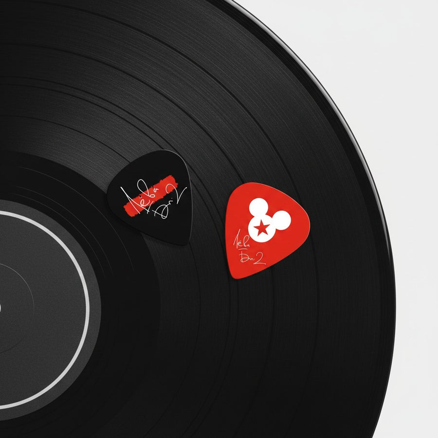 Bi-2 Guitar Picks - Set of 2 (Last Edition)